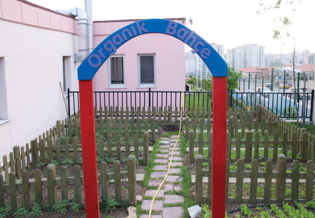 Okulca CT-8880 Ahşap Çit m2